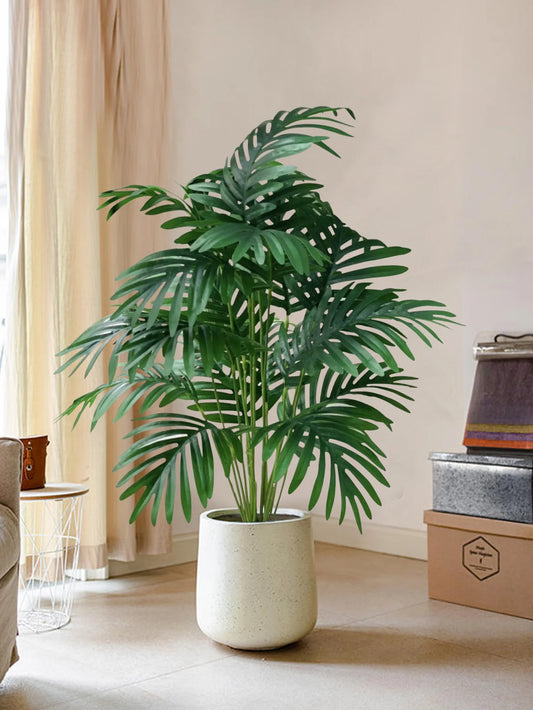 Lush Tropical Palm